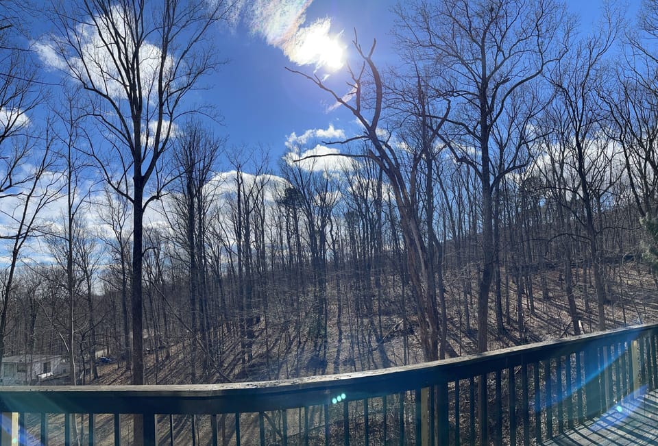 View from property