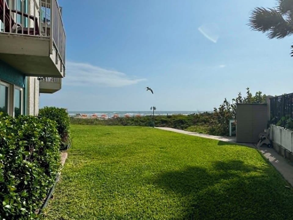 Patio View
