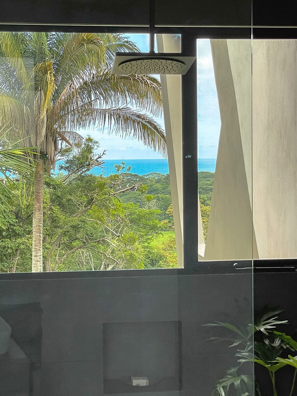 Shower with ocean view