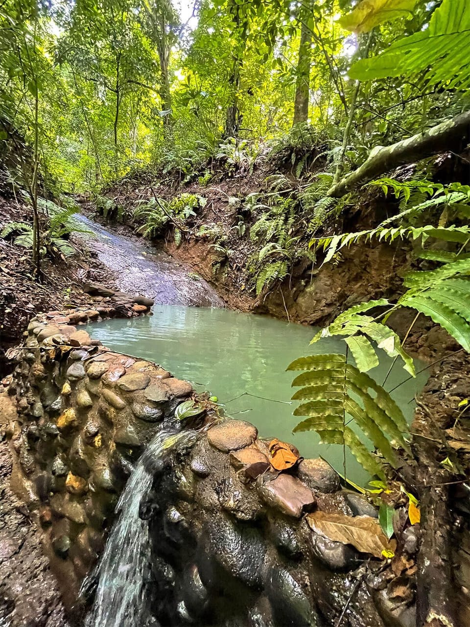 Private rock pool and waterfall feature.