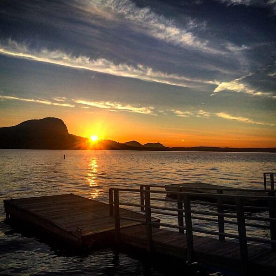 Screen Shot 2022-02-26 at 2.14