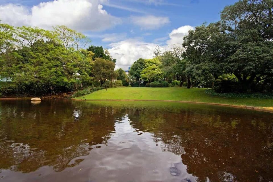 Scenic park view with a calm pond, lush trees, and open grassy areas—perfect for picnics, nature walks, or simply relaxing outdoors during your stay.
