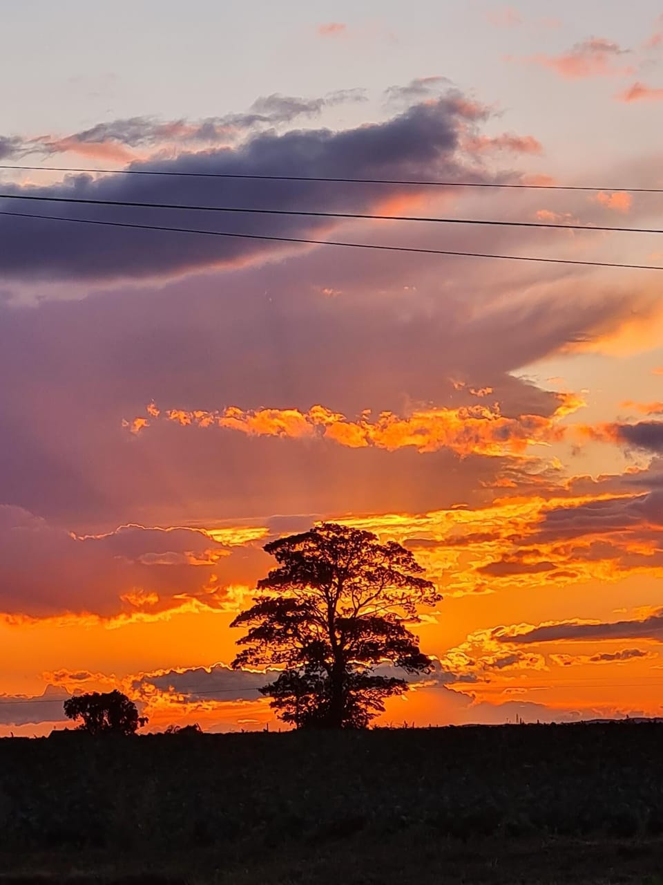 Sun set