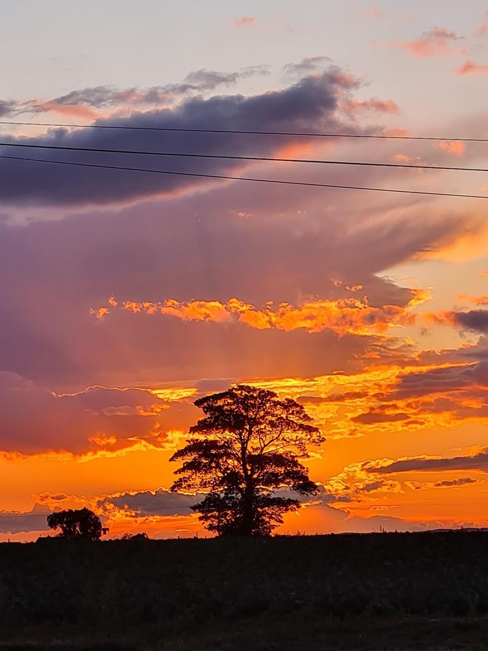 Sun set