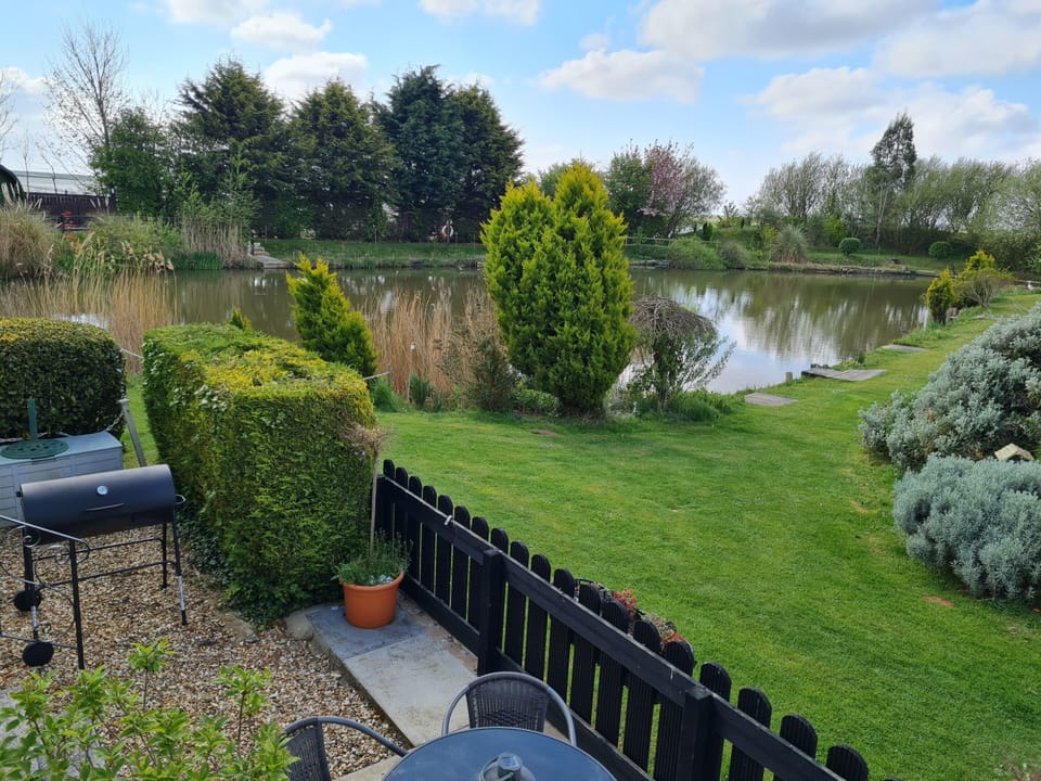 Lakeside view