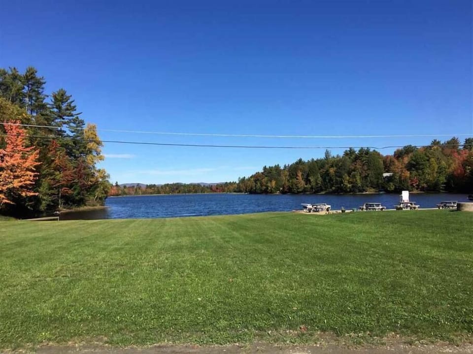 Grass area at the lake.