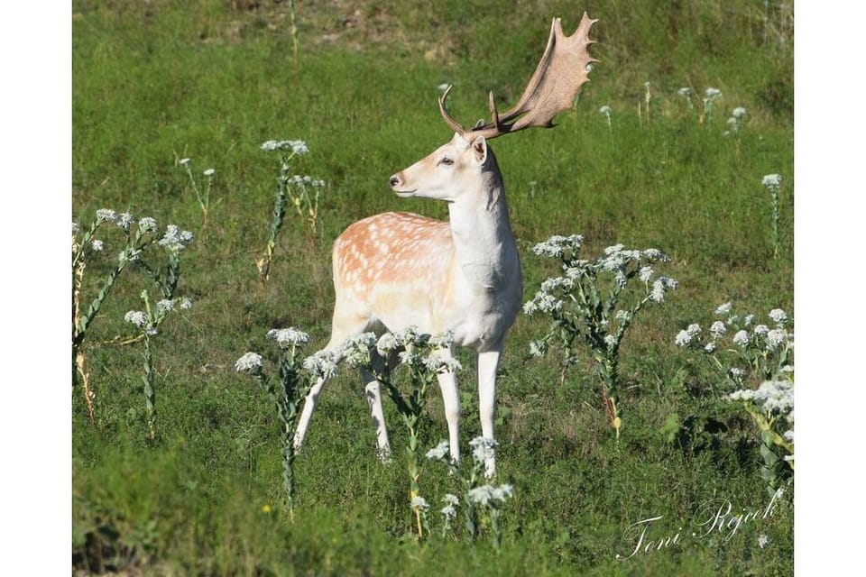 123