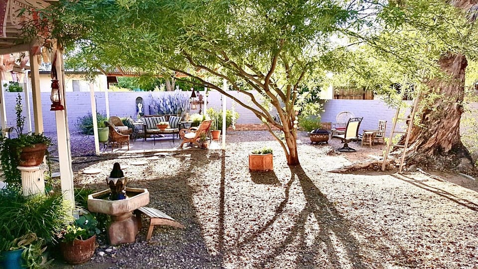 Lush desert landscape