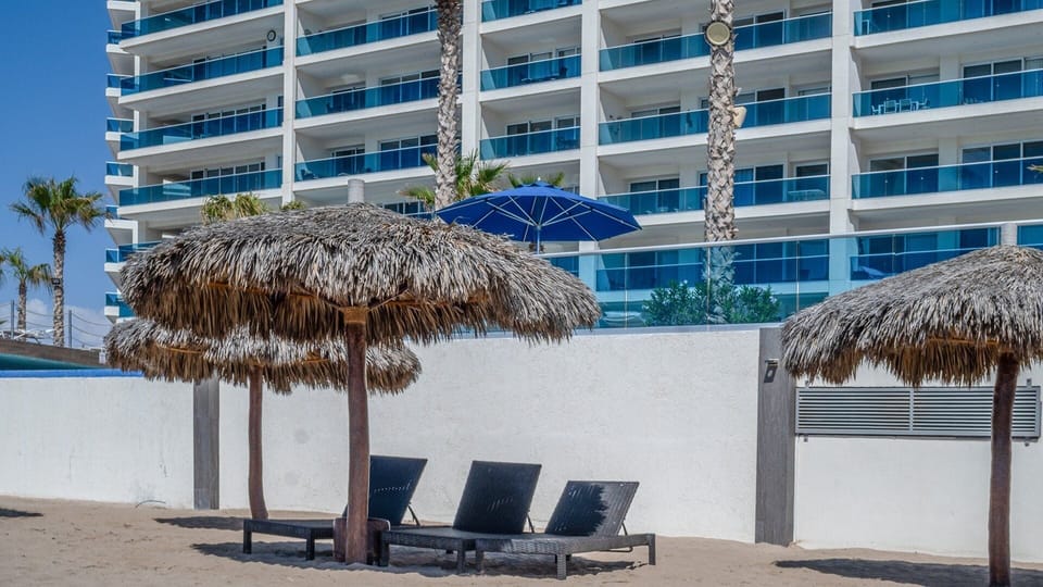 Palapas provide shade on the beach.