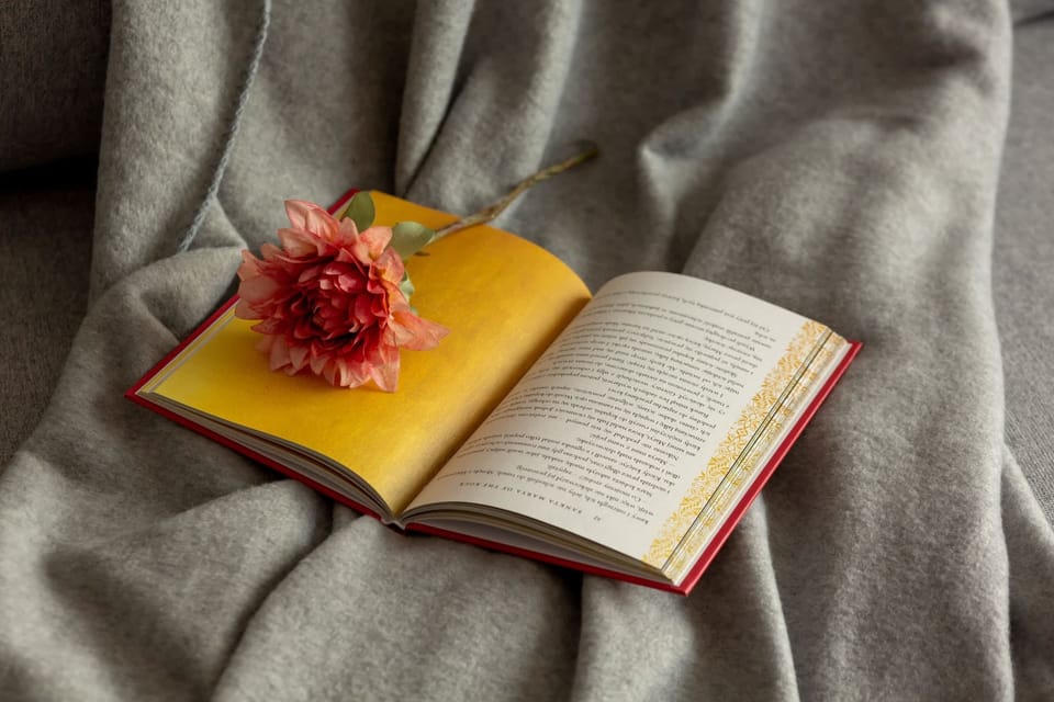 A close-up of an open book resting on a textured blanket, creating a cozy and inviting atmosphere.