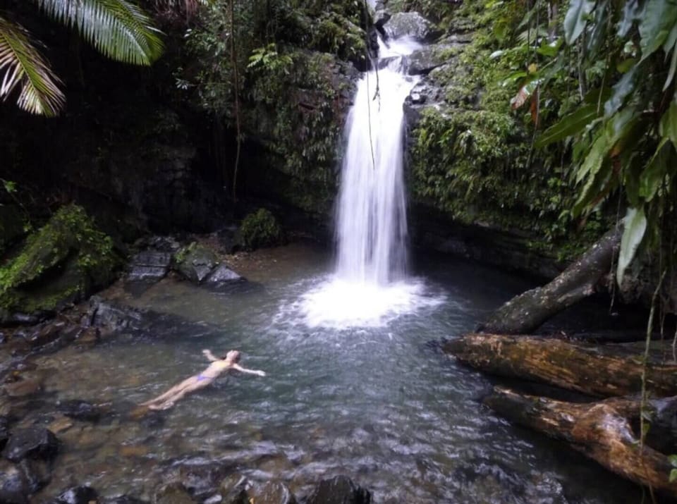 El Yunque Rainforest.