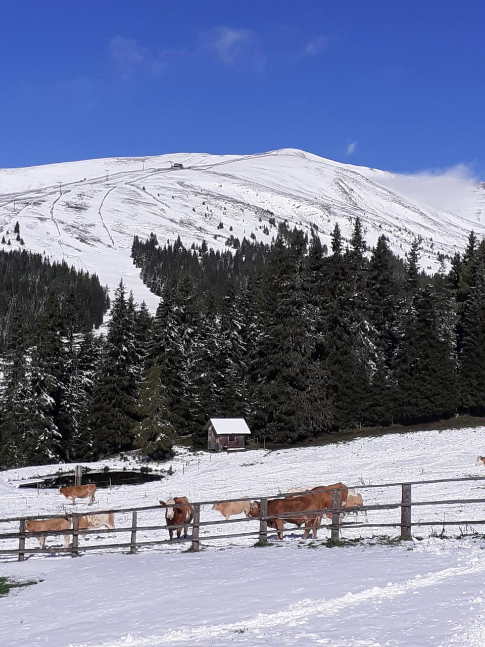 Snow and ski sports