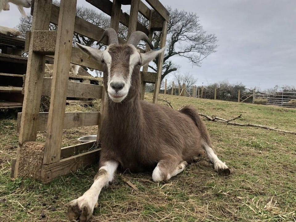 Meet Bryn