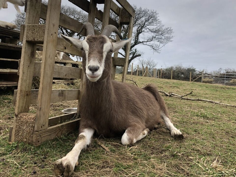 Meet Bryn