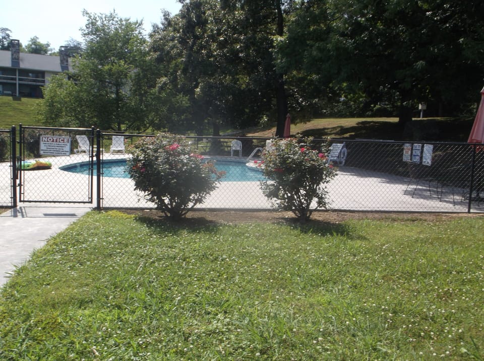 pool area