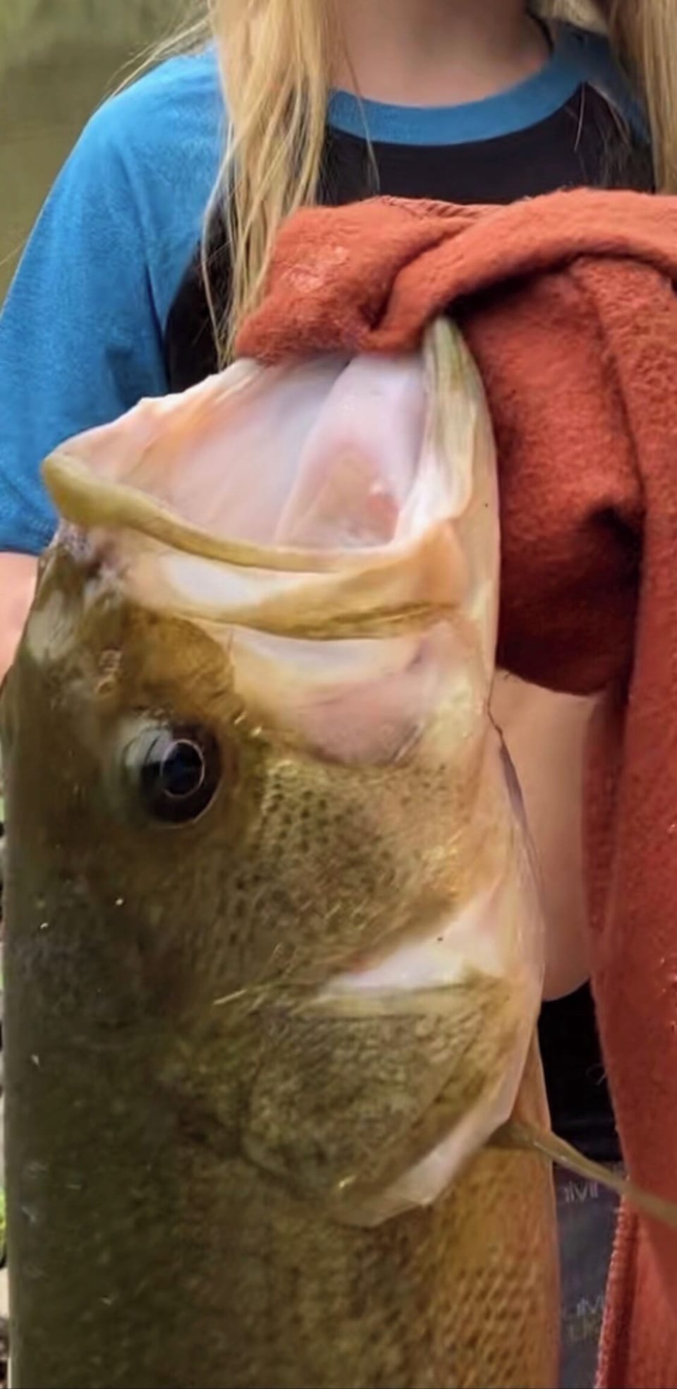 Caught in the river