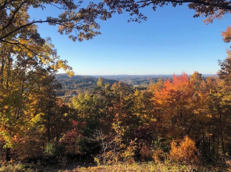 Every season offers panoramic views of the mountain's majesty 