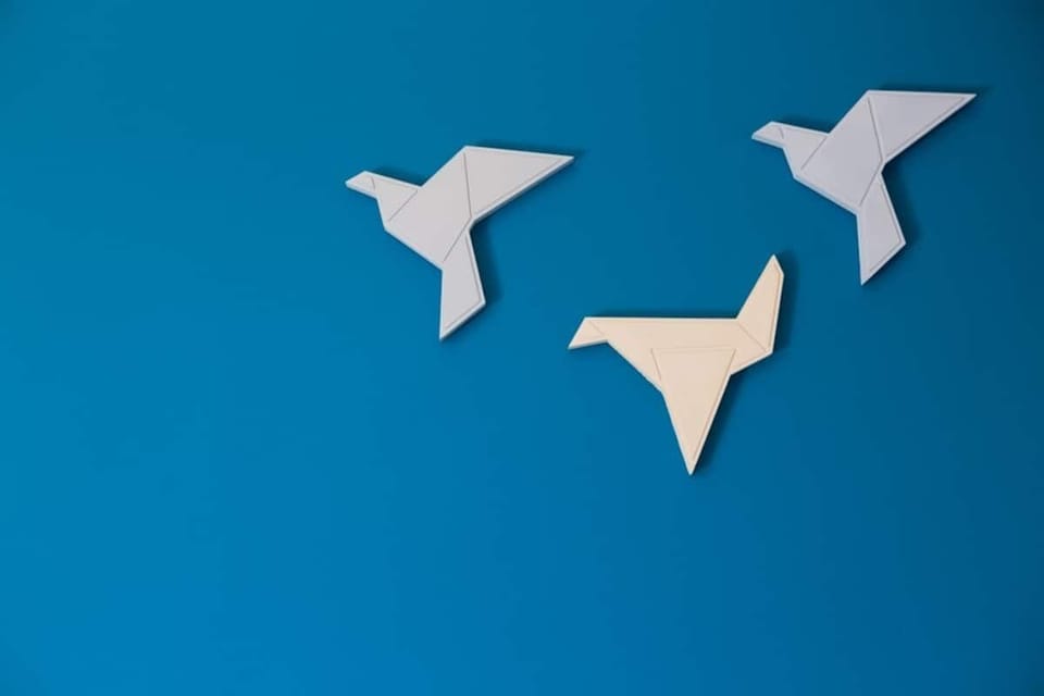 Various details of the living room