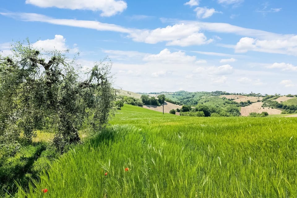 View from Holiday Home [summer]