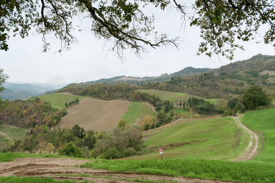 Surroundings [summer] (1-5 km)