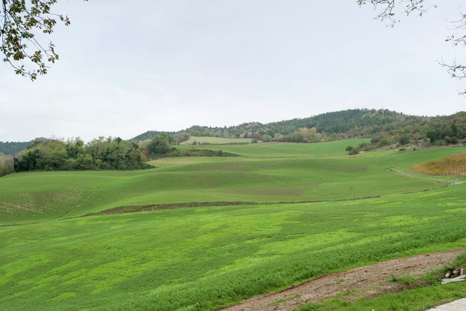 Surroundings [summer] (1-5 km)