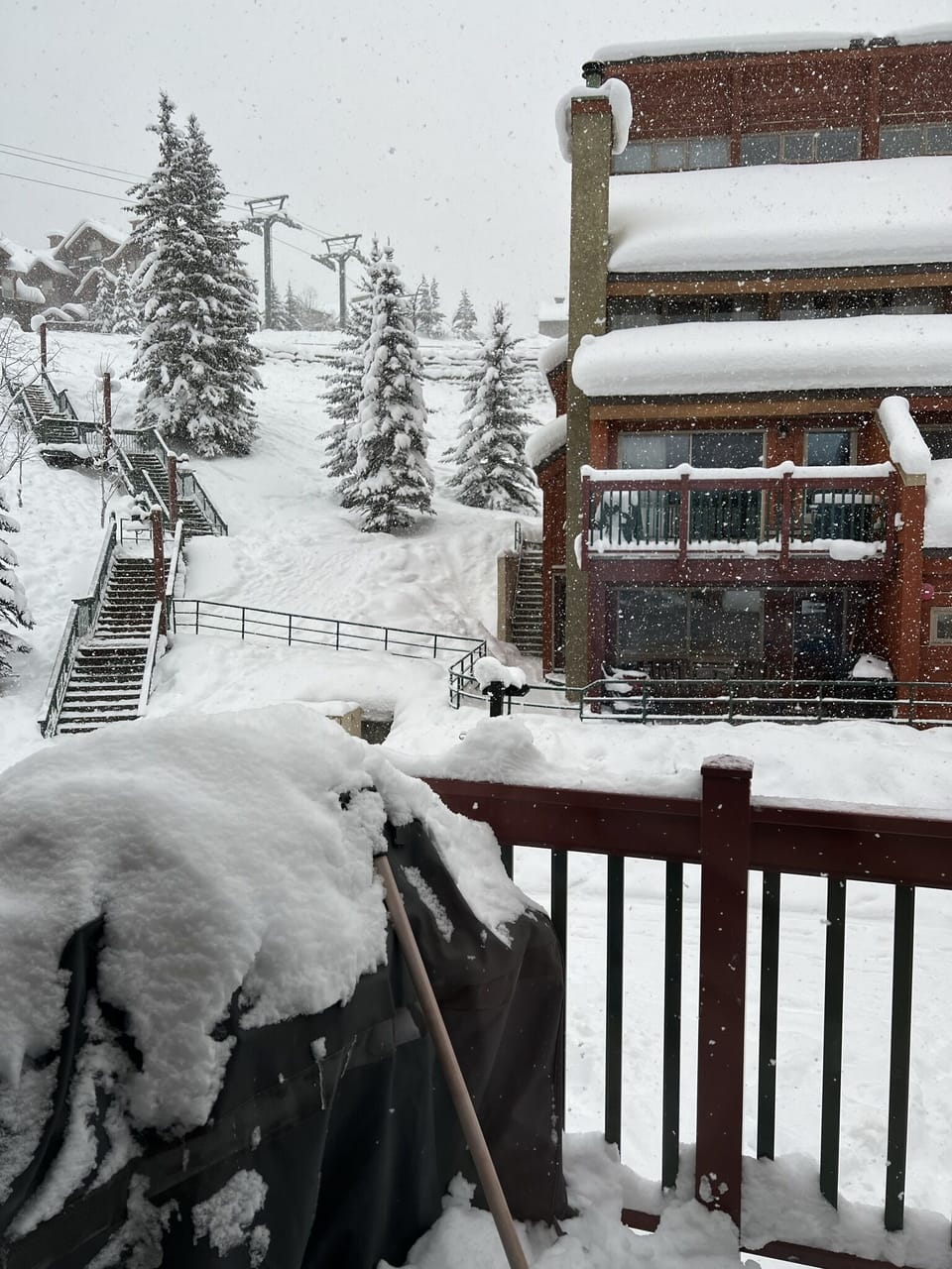 Winter snowfall, view from patio. 
