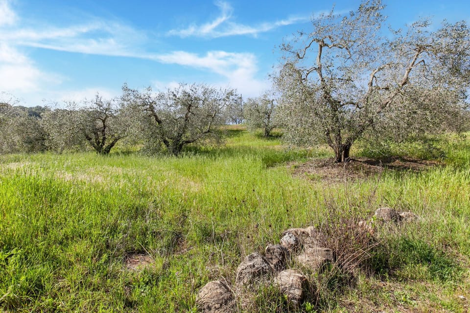 Surroundings [summer] (1-5 km)
