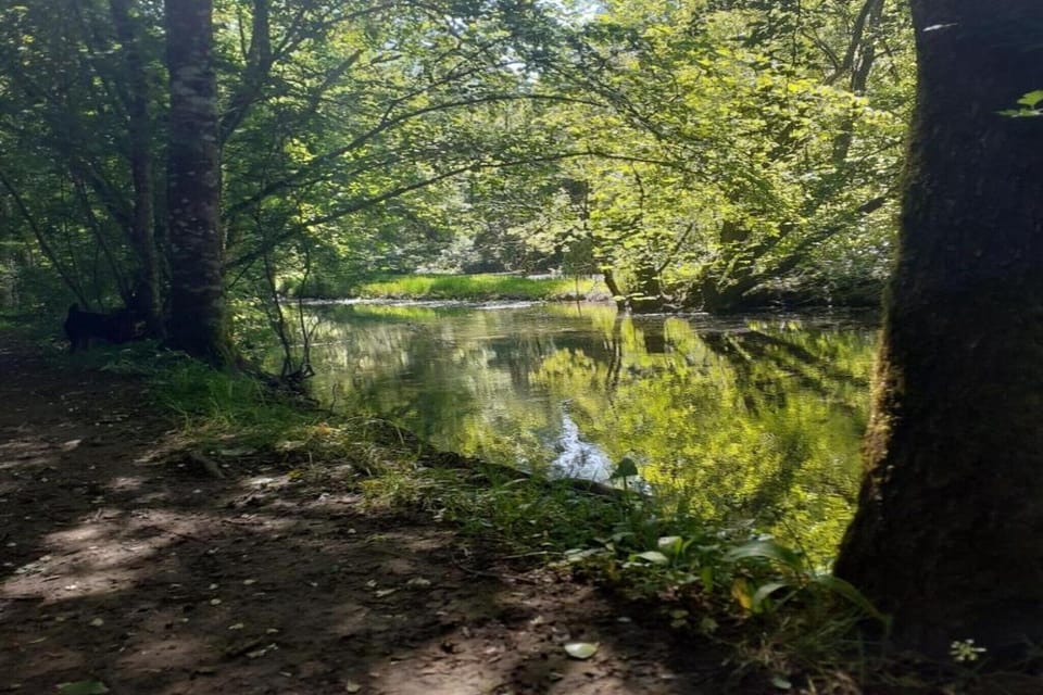 Region [summer] (>5 km)