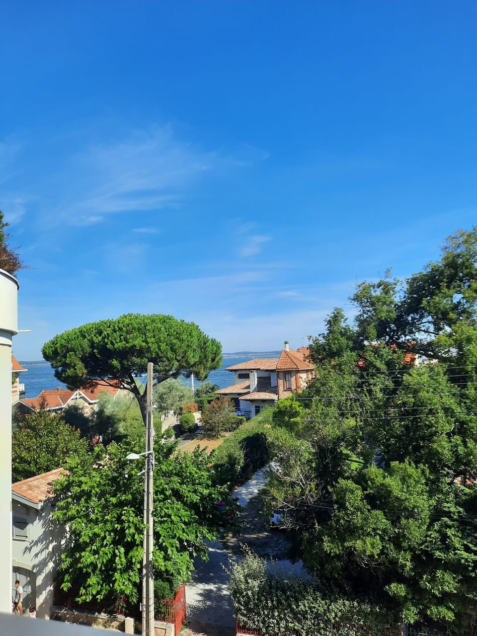 View from property