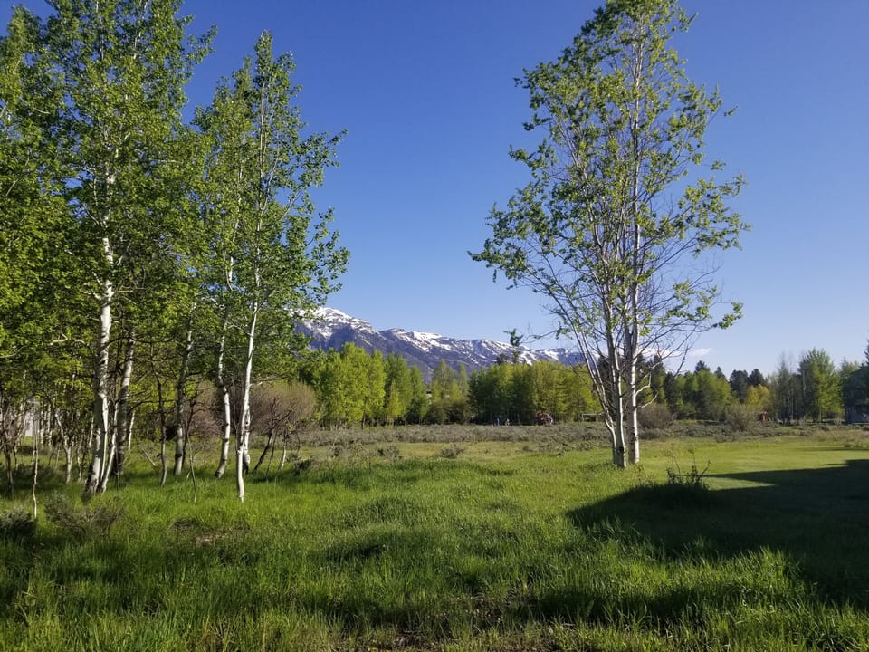 Meander the open space and enjoy the Teton range views.