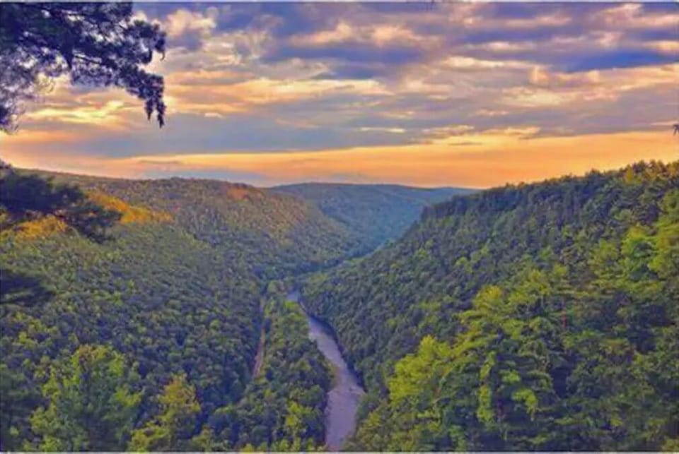 View from property