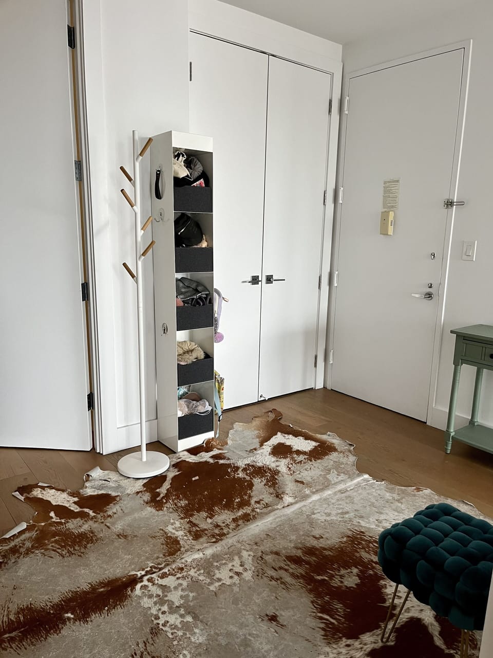 Entrance to the apartment