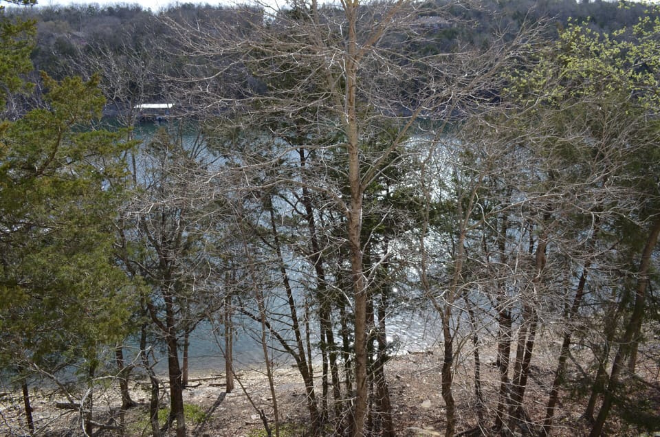 View from the patio in the Winter and early Spring.   