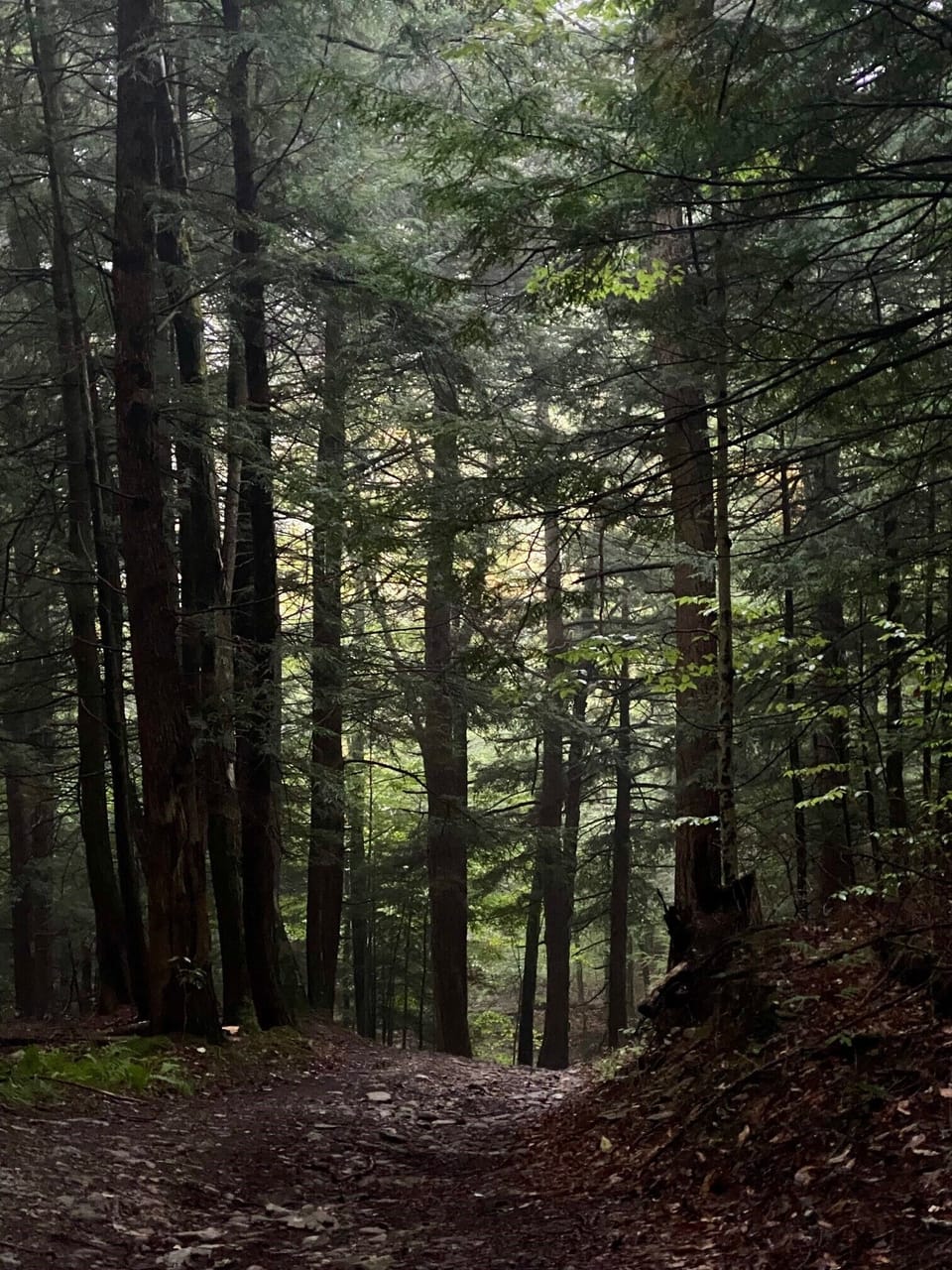 Miles of trails through fields and forests
