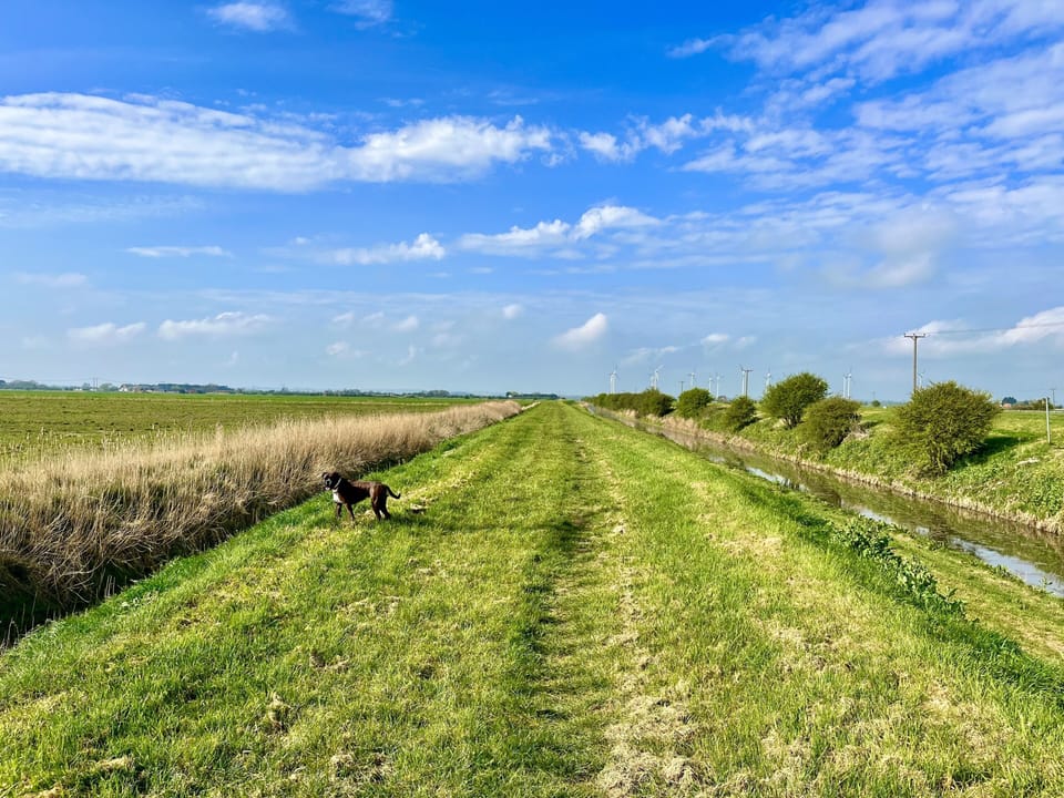 Local Grift Country Walk