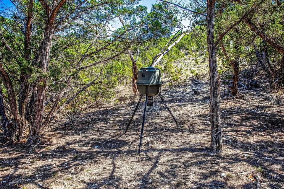 A deer feeder near the Casita draws them by for a tasty snack! Lots of other birds and wildlife like to gather here, too.