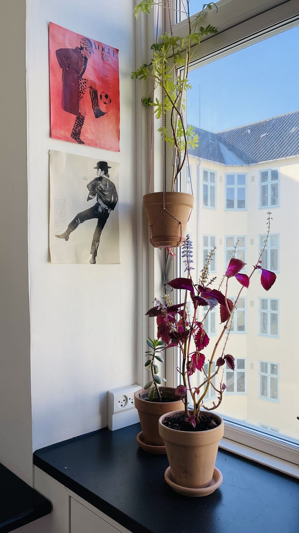 Room Detail