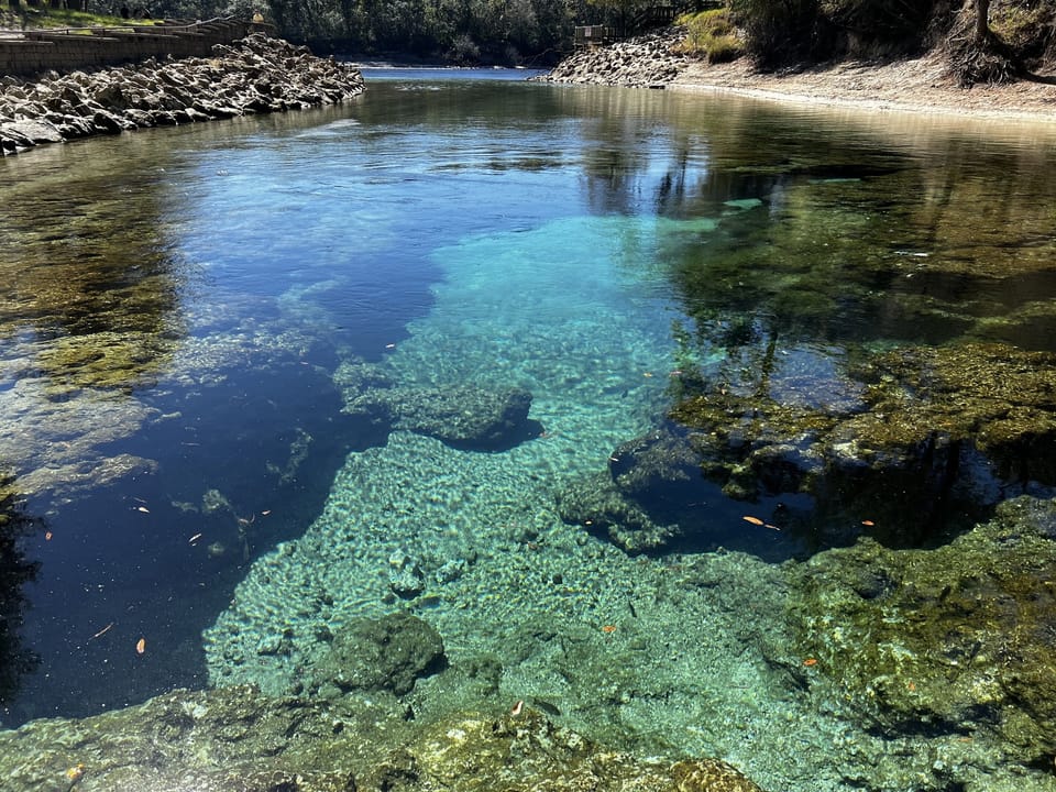 Little River Springs