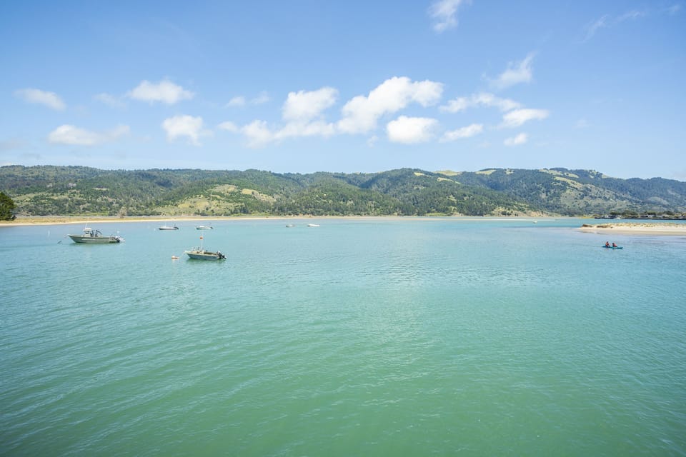 View - Bolinas Lagoon