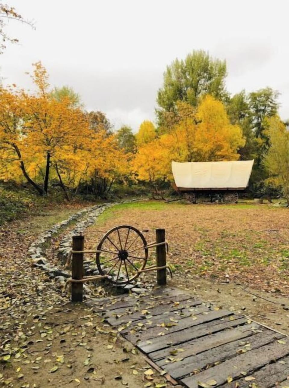 Lonestar Wagon in Autumn. So many beautiful colors this time of year. 