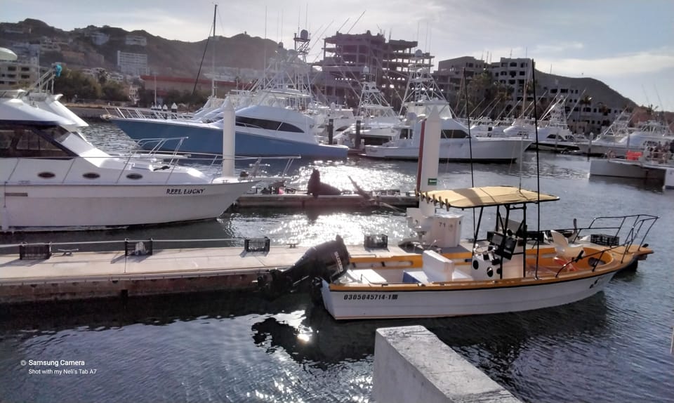 Marina