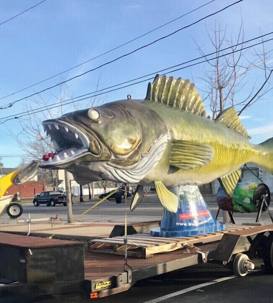 Wylie Walleye 