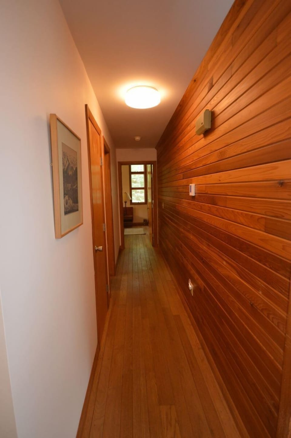 Lower level hallway 