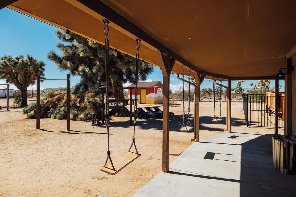 Our large fenced backyard - over 2 acres of land with Joshua Trees.