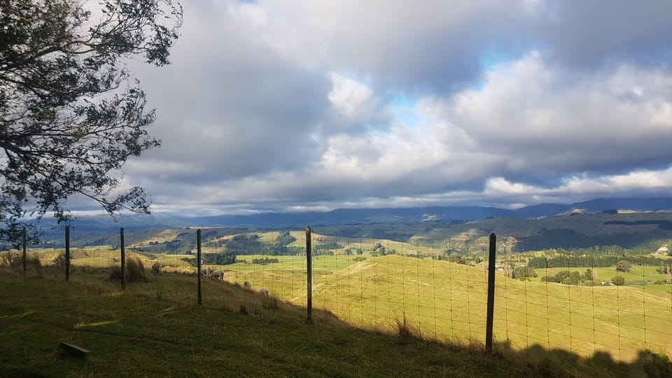 Top of the property - Amazing westward  view over Apiti Valley!