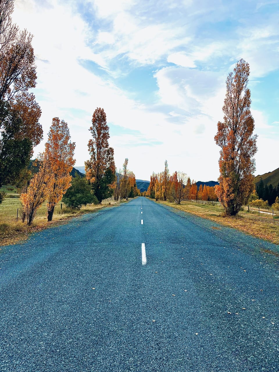 Miscellaneous