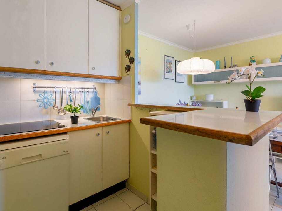 Cabinetry, Countertop, Property, Furniture, Kitchen, Interior Design, Kitchen Appliance, Wood, Kitchen Sink, Houseplant