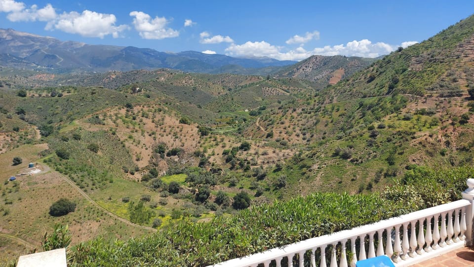 Fantastic views from the terraces