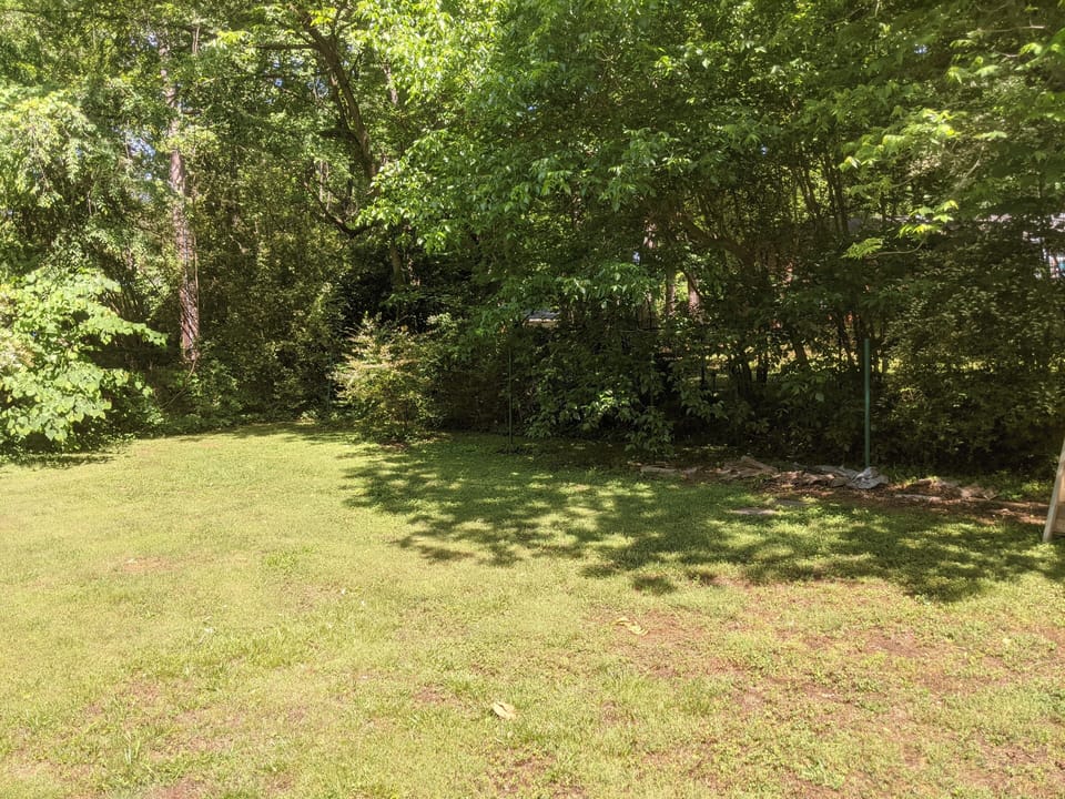 back yard area