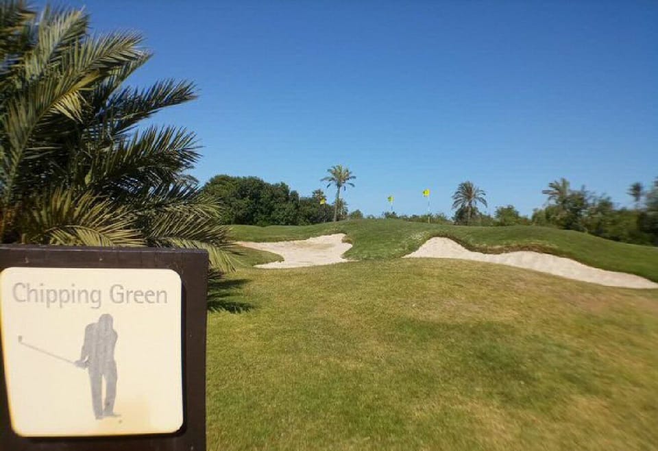 Roda chipping green